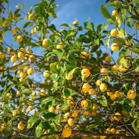 La Des Sources - Piscine - Climatisation Villa