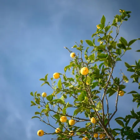 La Des Sources - Piscine - Climatisation Villa Menton