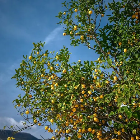 La Des Sources - Piscine - Climatisation * Menton