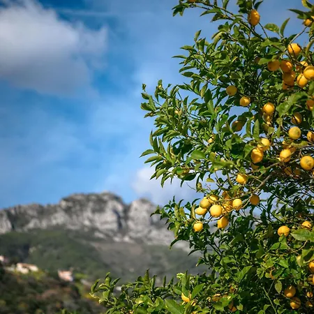 Villa La Des Sources - Piscine - Climatisation