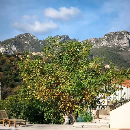 La Des Sources Piscine Clim Terrasse Menton