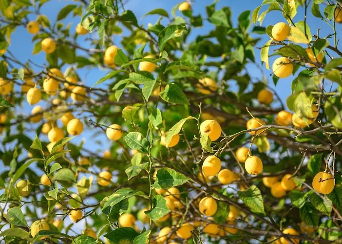 La Des Sources - Piscine - Climatisation 빌라