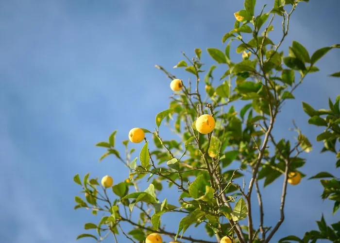 La Des Sources - Piscine - Climatisation 빌라 멍똥