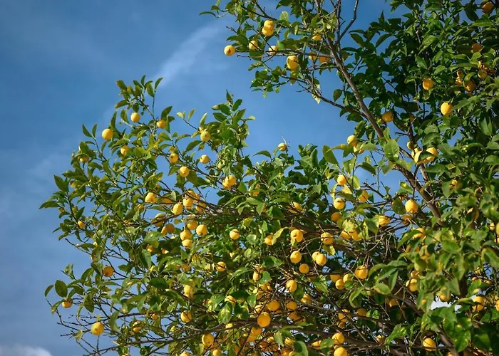 La Des Sources - Piscine - Clim - Terrasse * Menton