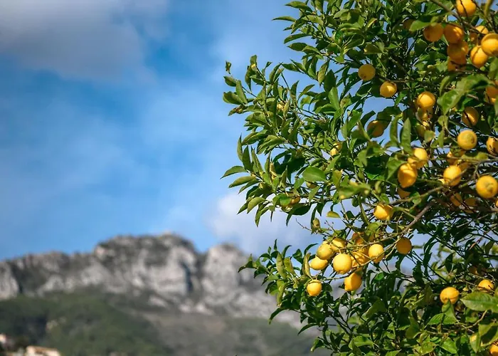 La Des Sources - Piscine - Climatisation *